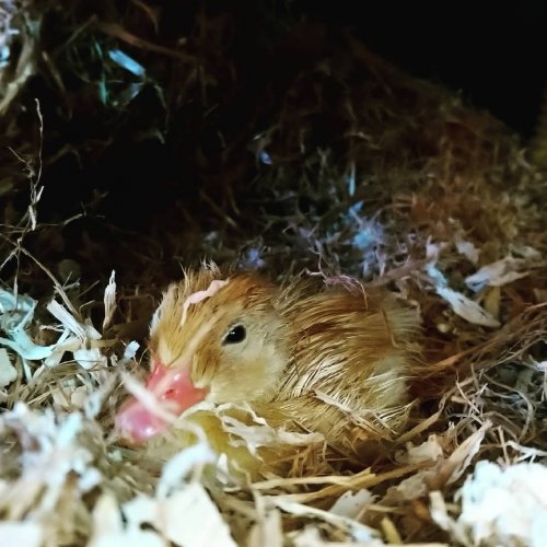 Photo post from jack.jill.preschool.