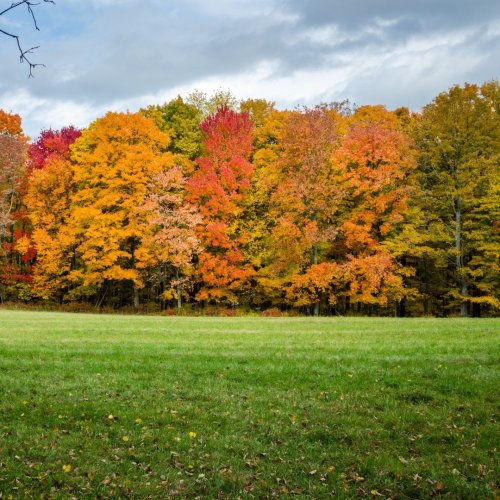 Photo post from hotelonnorth.