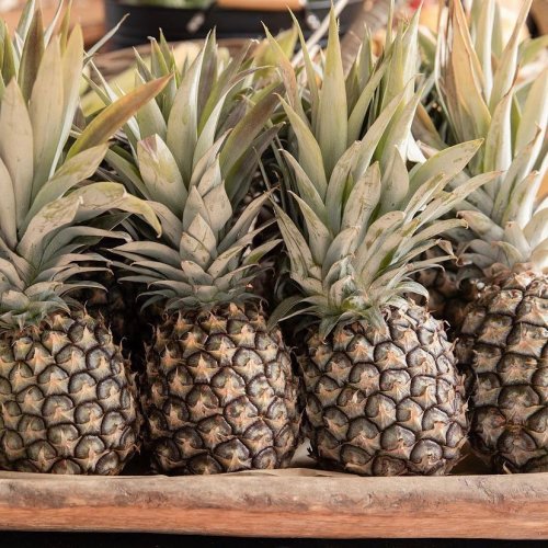 Photo post from currumbinvalleyharvest.