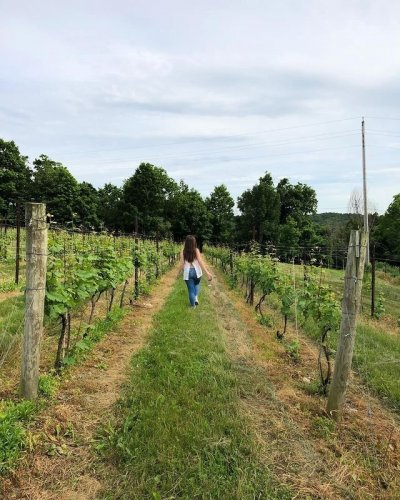 Photo post from dutchesstourism.