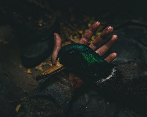 Photo post from northernskiesoutfitters.