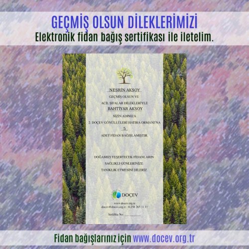 Photo post from dogavecevrevakfi.