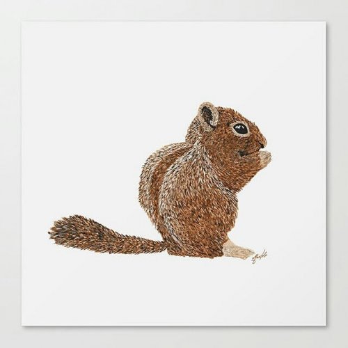 Photo post from ira.martelo.