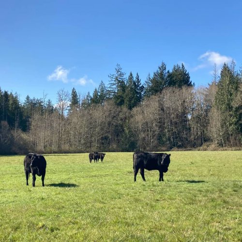 Photo post from hungryhollowfarm.