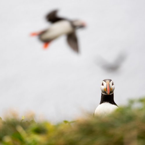 Carousel post from taucktravel.