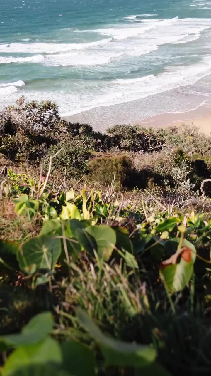 Video post from comvita_au.