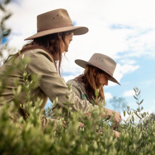 Photo post from comvita_au.