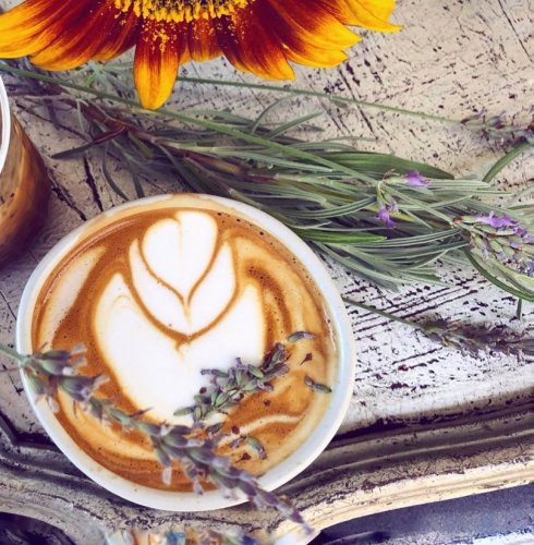 Photo post from equianocoffee.