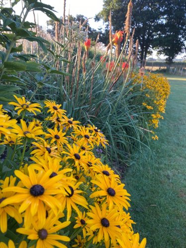 Photo post from sussexprairies.