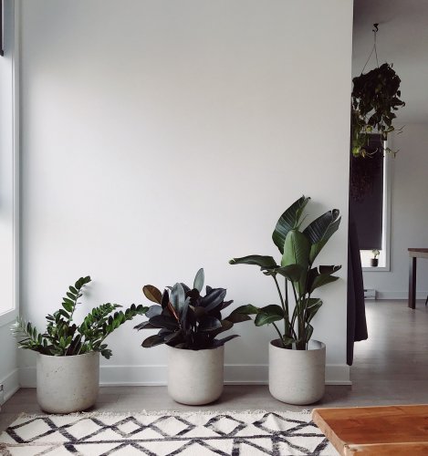 Photo post from avkointerior.