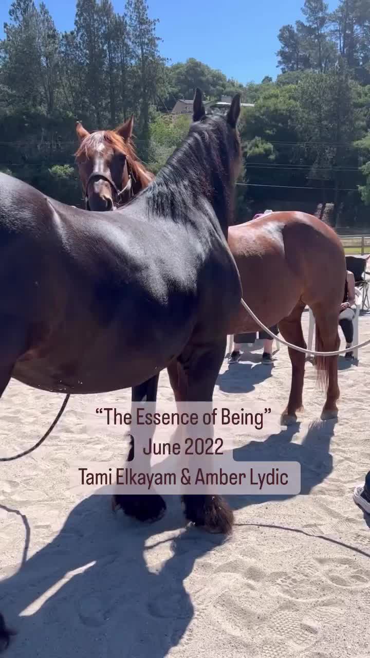 Video post from __amber_lydic__.
