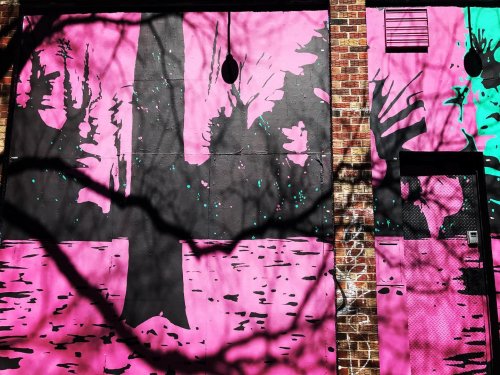 Photo post from nydreamer7.