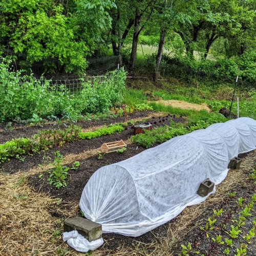 Photo post from hungryhollowfarm.