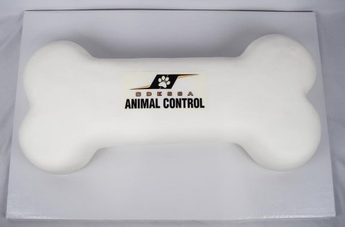 Photo post from marquettescakestudio.