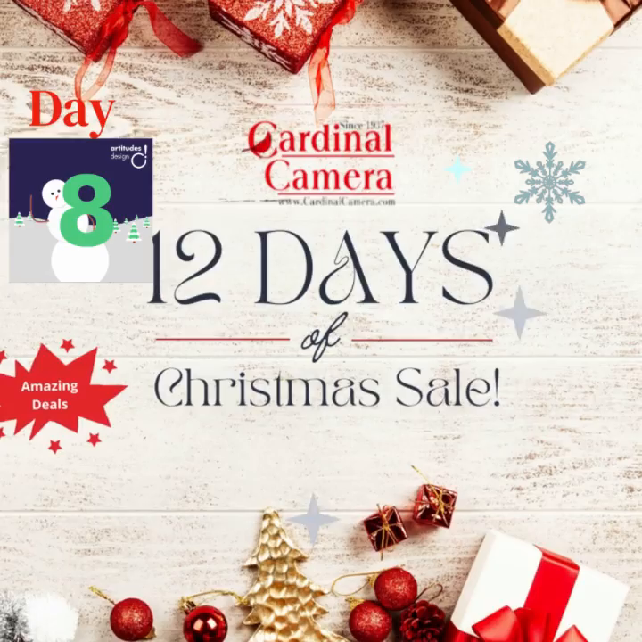 Video post from cardinalcamera1937.