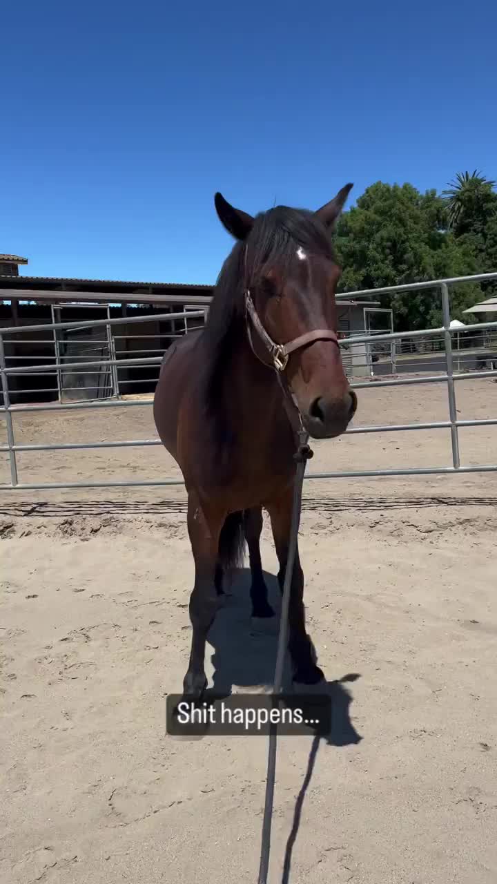 Video post from __amber_lydic__.