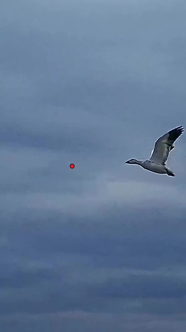 Video post from northernskiesoutfitters.