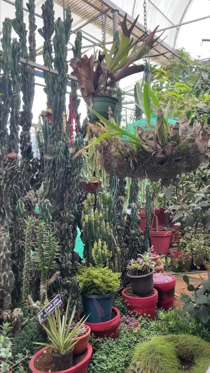 Video post from purkinje_crazyforplants.