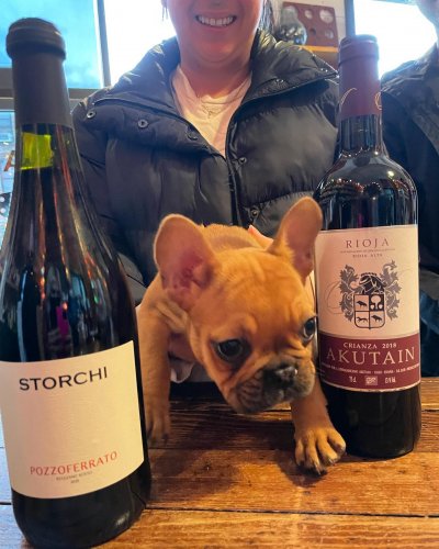 Photo post from dandywineshop.