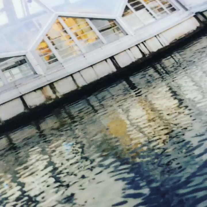 Video post from signkings.