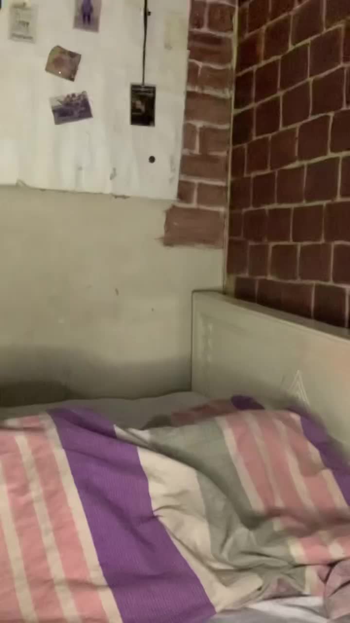 Video post from medha.bee.