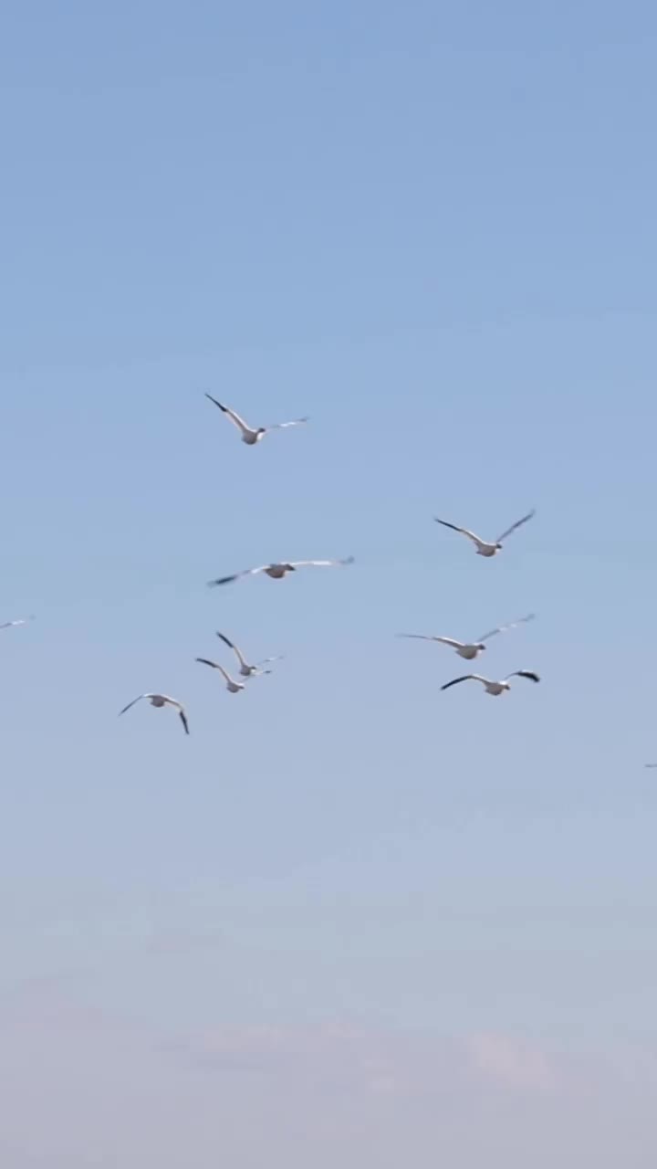 Video post from northernskiesoutfitters.