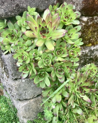 Carousel post from pdxswingsnthings.