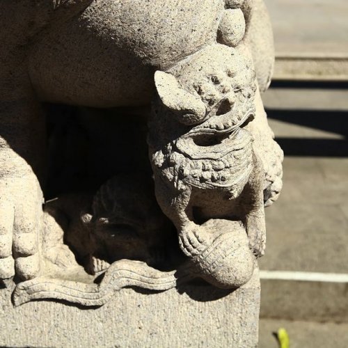 Photo post from lansuchinesegarden.