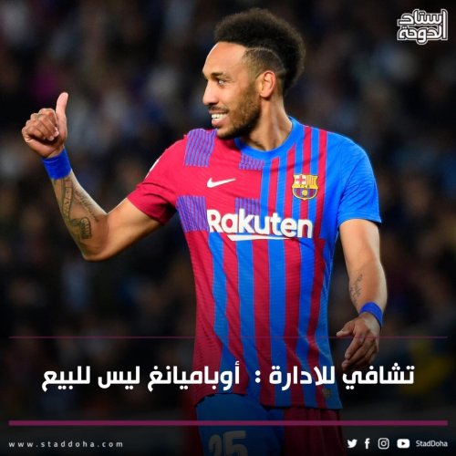 Photo post from staddoha.