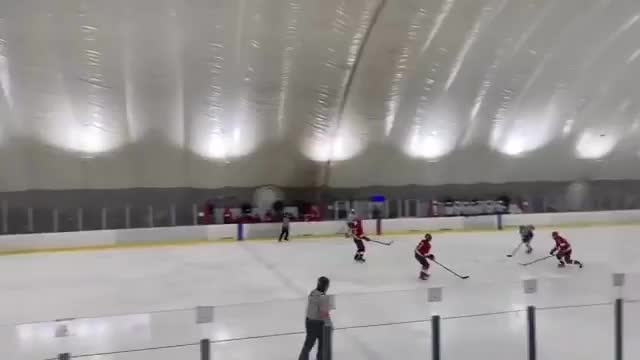 Video post from fu_hockey.