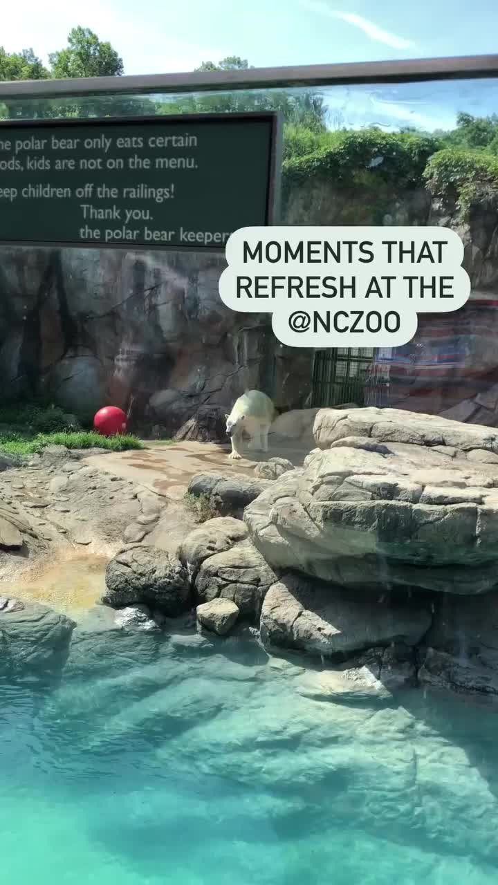 Video post from theheartofnc.