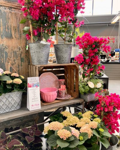Photo post from blomsterborsen.