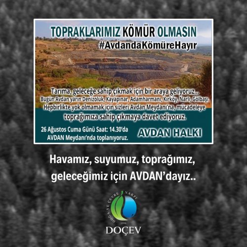 Photo post from dogavecevrevakfi.