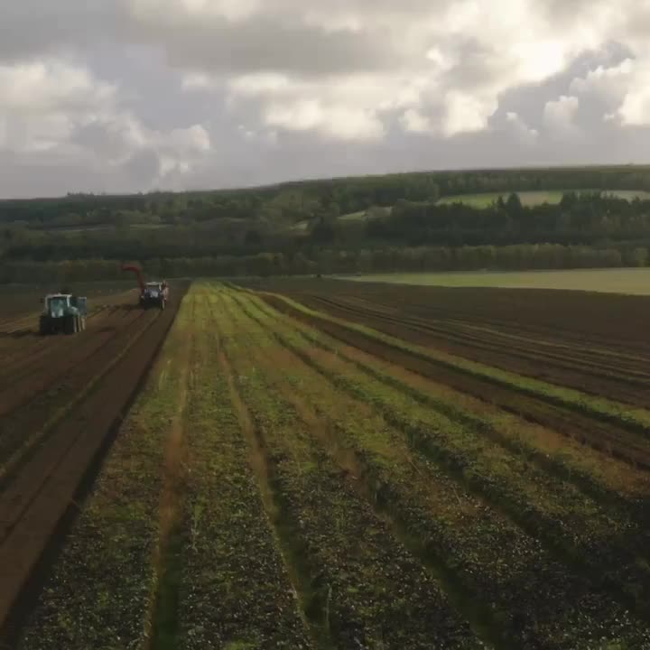 Video post from baxters_uk.