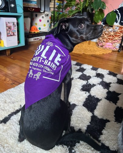 Carousel post from jlythcotthaims.