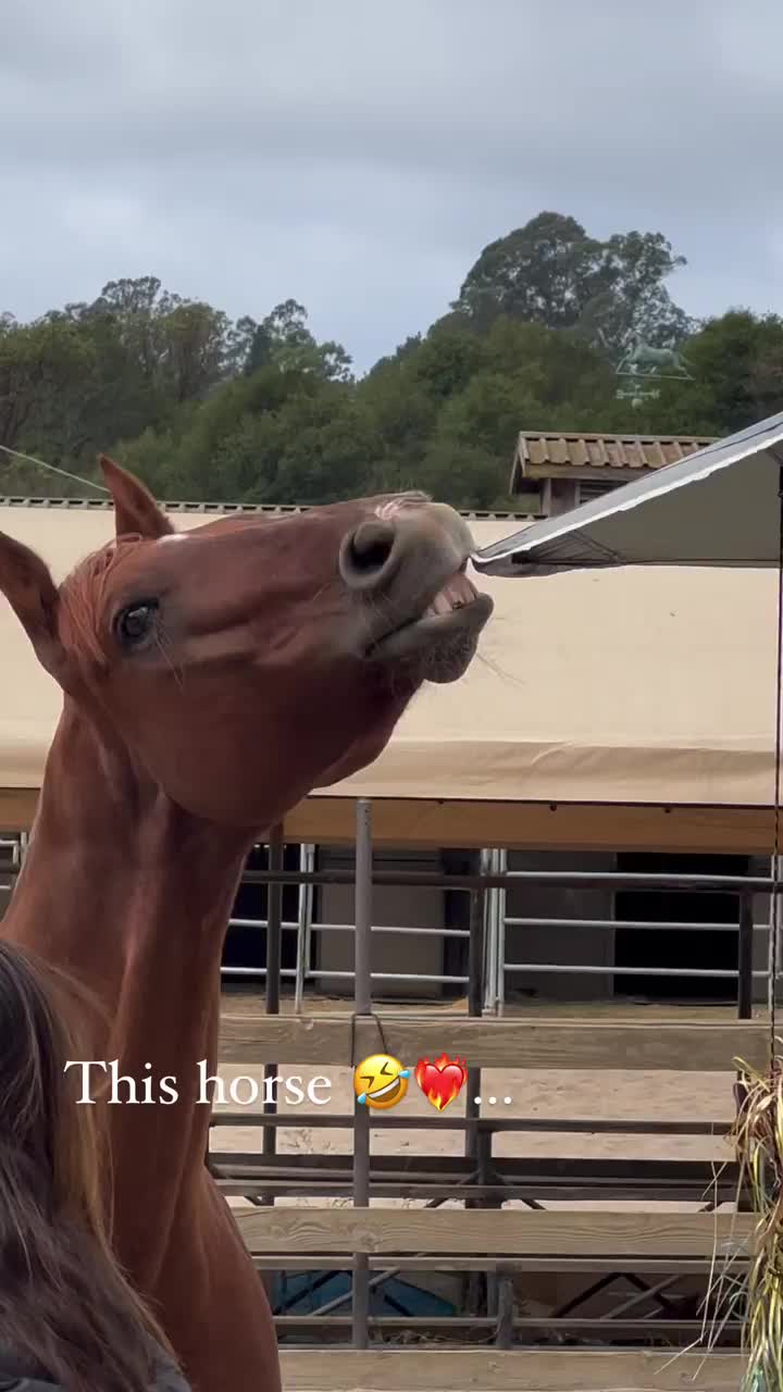 Video post from __amber_lydic__.