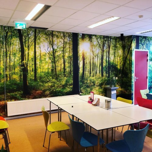 Photo post from signkings.