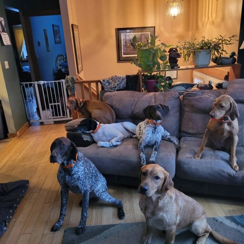 Photo post from reddogguideservice.