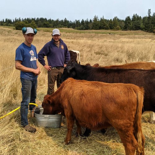 Photo post from hungryhollowfarm.