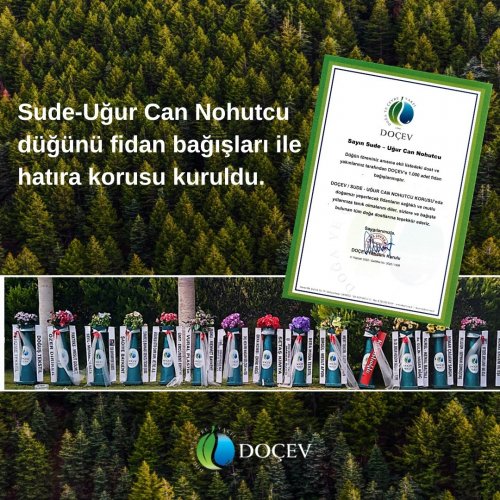 Photo post from dogavecevrevakfi.