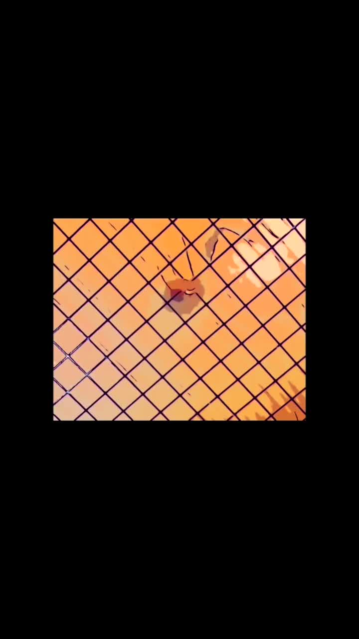 Video post from dwightlofts.