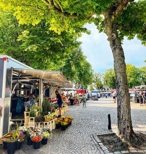 Photo post from visitoirschot.