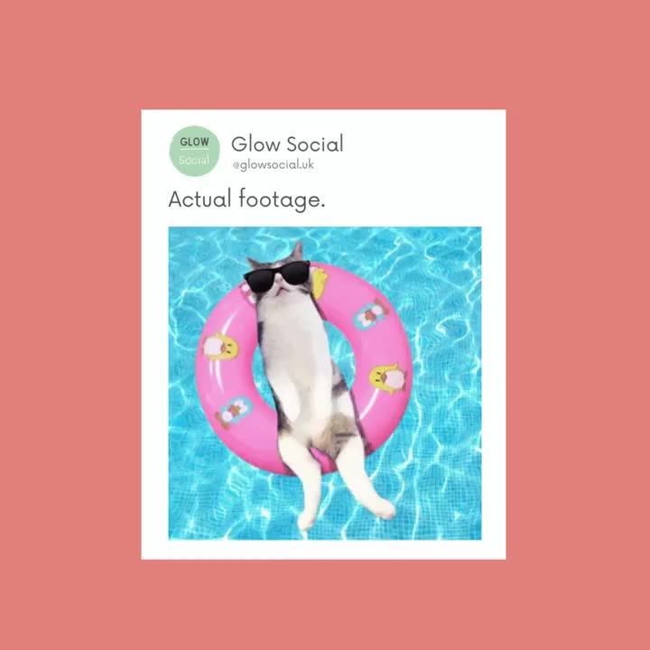 Video post from glowsocial.uk.