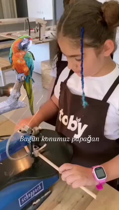 Video post from tobycomtr.