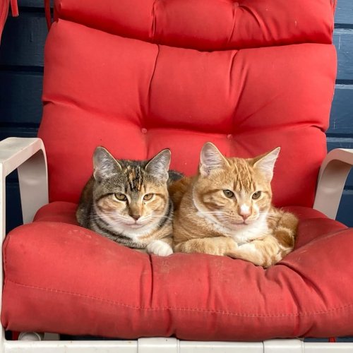 Photo post from hungryhollowfarm.