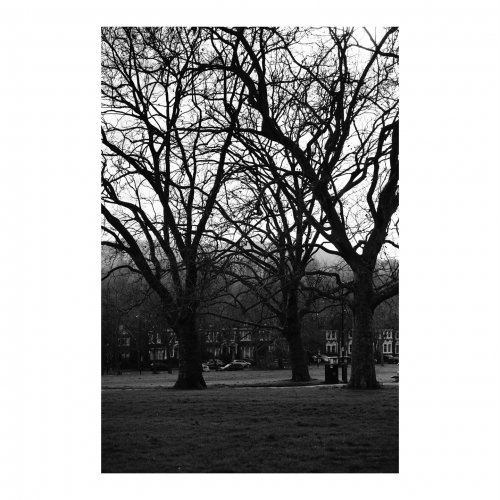 Photo post from tparsons.architect.photography.