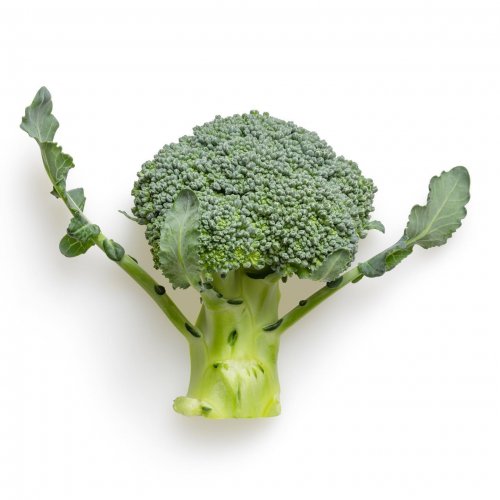 Photo post from farmbox_arizona.