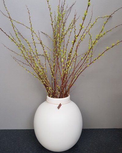 Photo post from blomsterborsen.