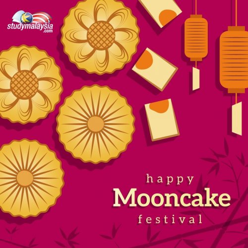 Photo post from studymsia.