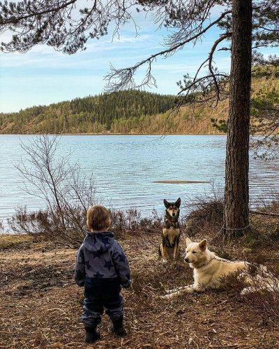 Photo post from duttons_eventyr.